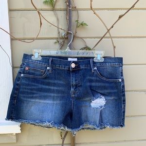 Hudson Amber Shorts